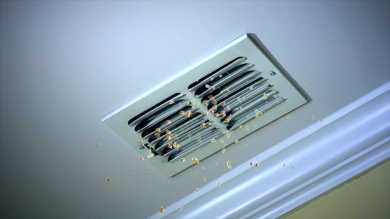 Best Affordable Duct Cleaning Services  in Patterson, CA